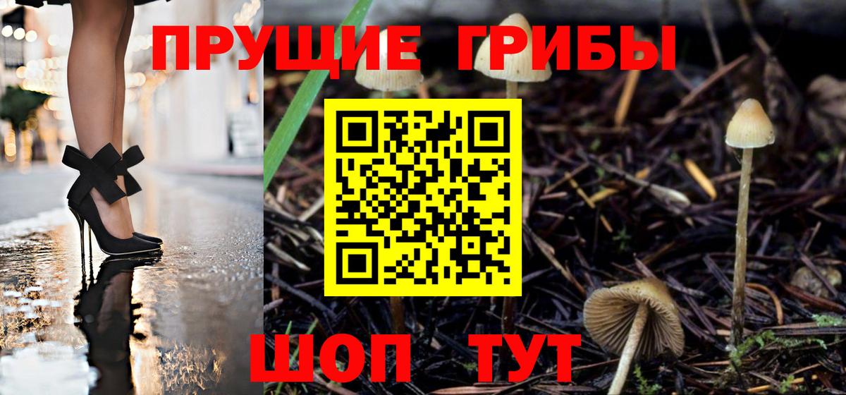 Галлюциногенные грибы мицелий Красногорск