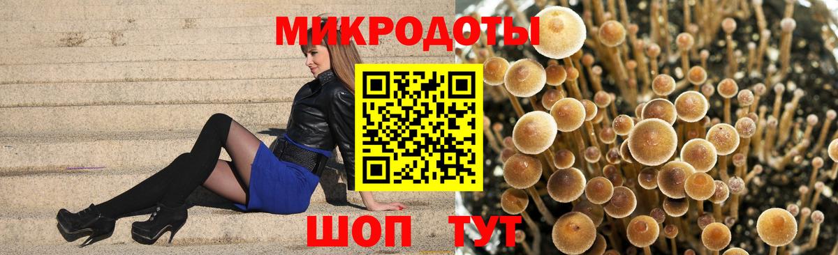 Псилоцибиновые грибы Cubensis  Вход с VPN  Красногорск 